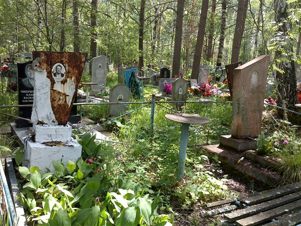 Хомякова Ирина Станиславовна