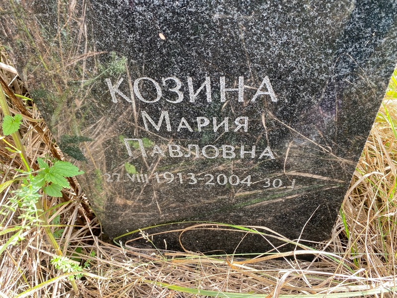 Козина