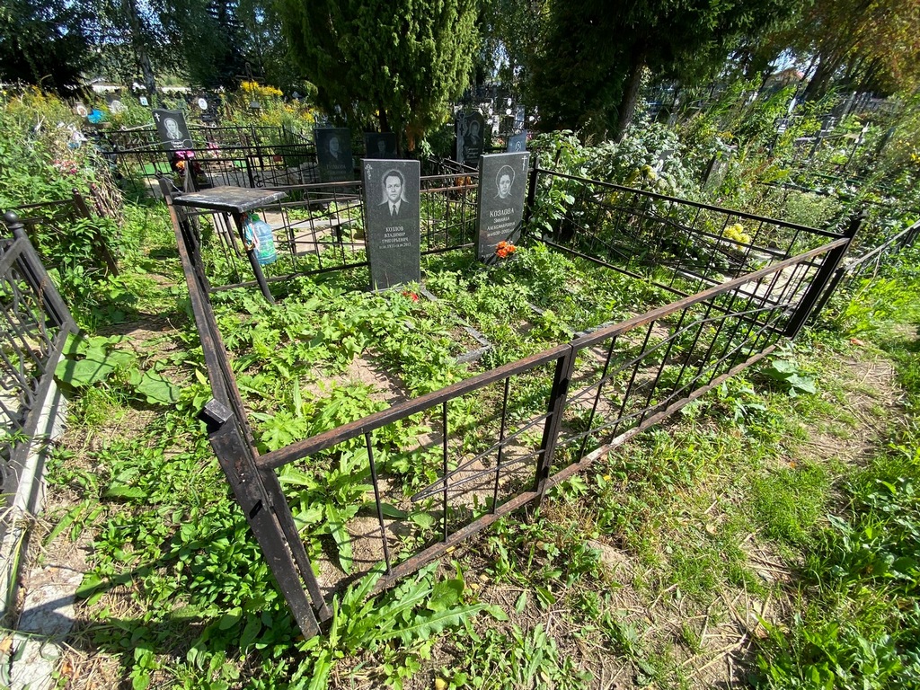Козлов Владимир Григорьевич