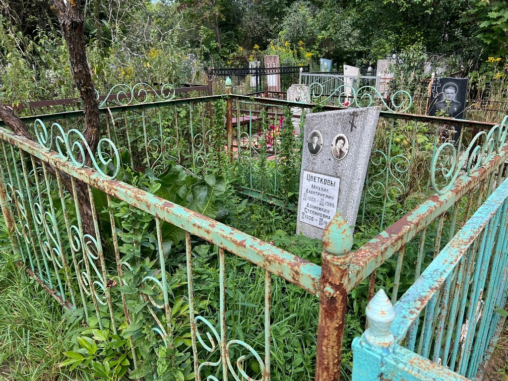 Цветков Михаил Дмитриевич