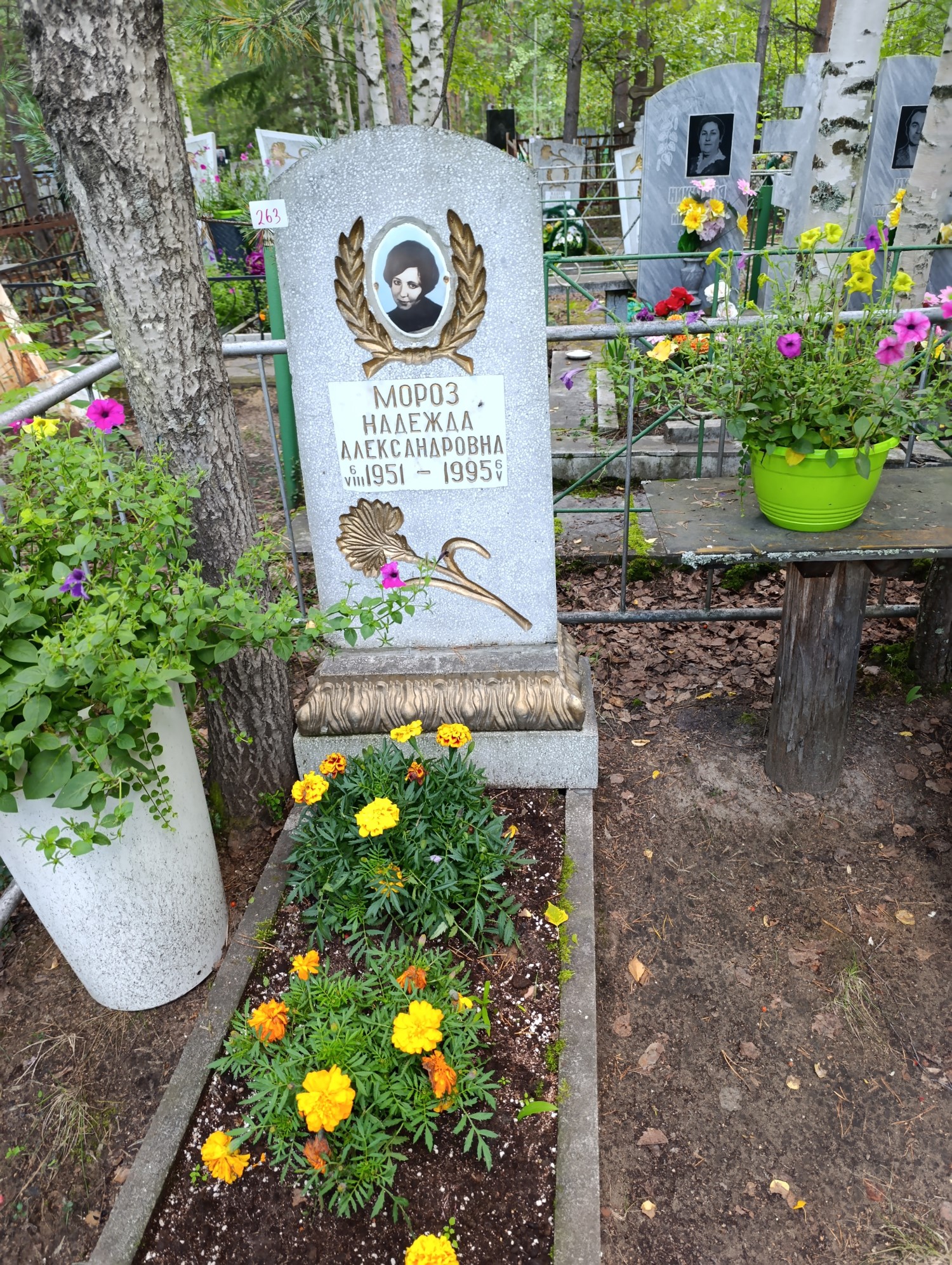 Мороз Надежда Александровна