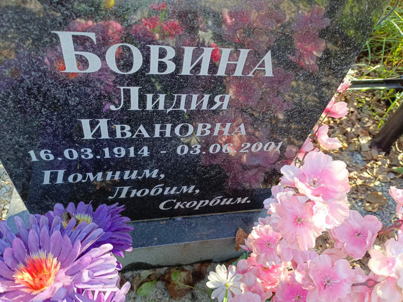 Бовина