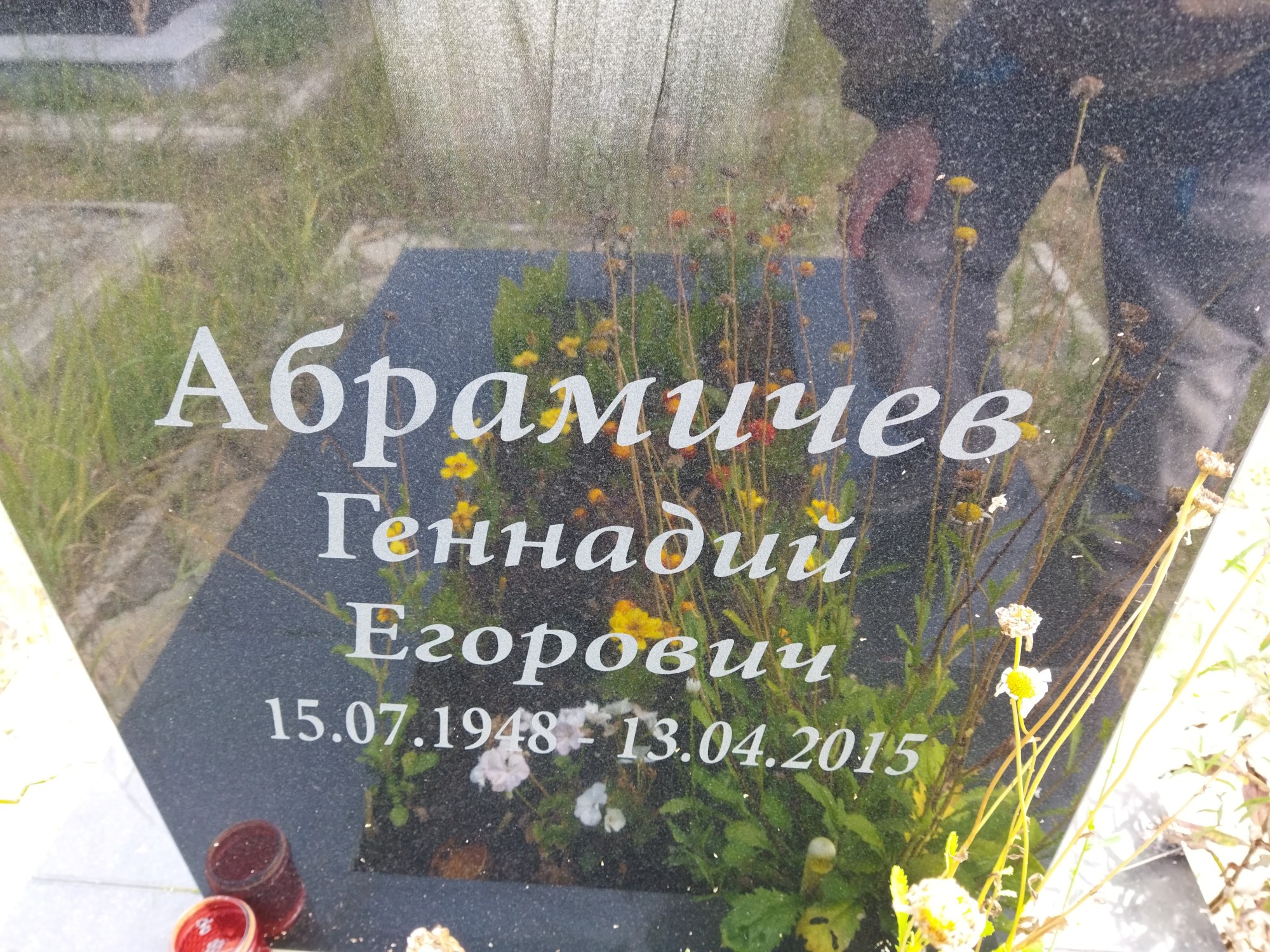 Абрамичев Геннадий Егорович