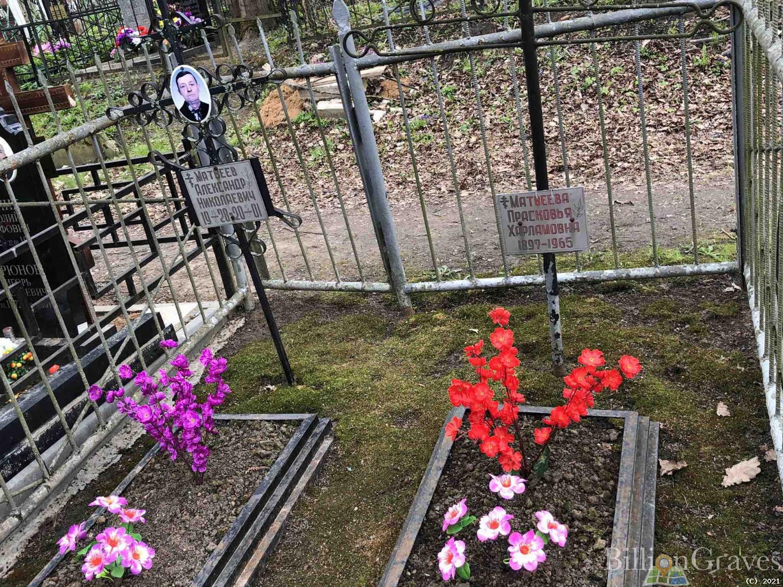 Матвеев Александр Николаевич