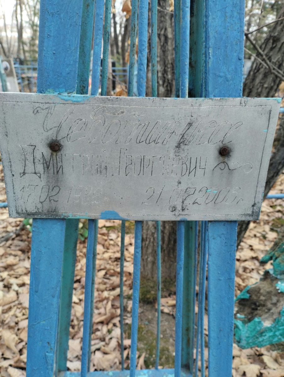 Чеботинка Дмитрий Георгиевич