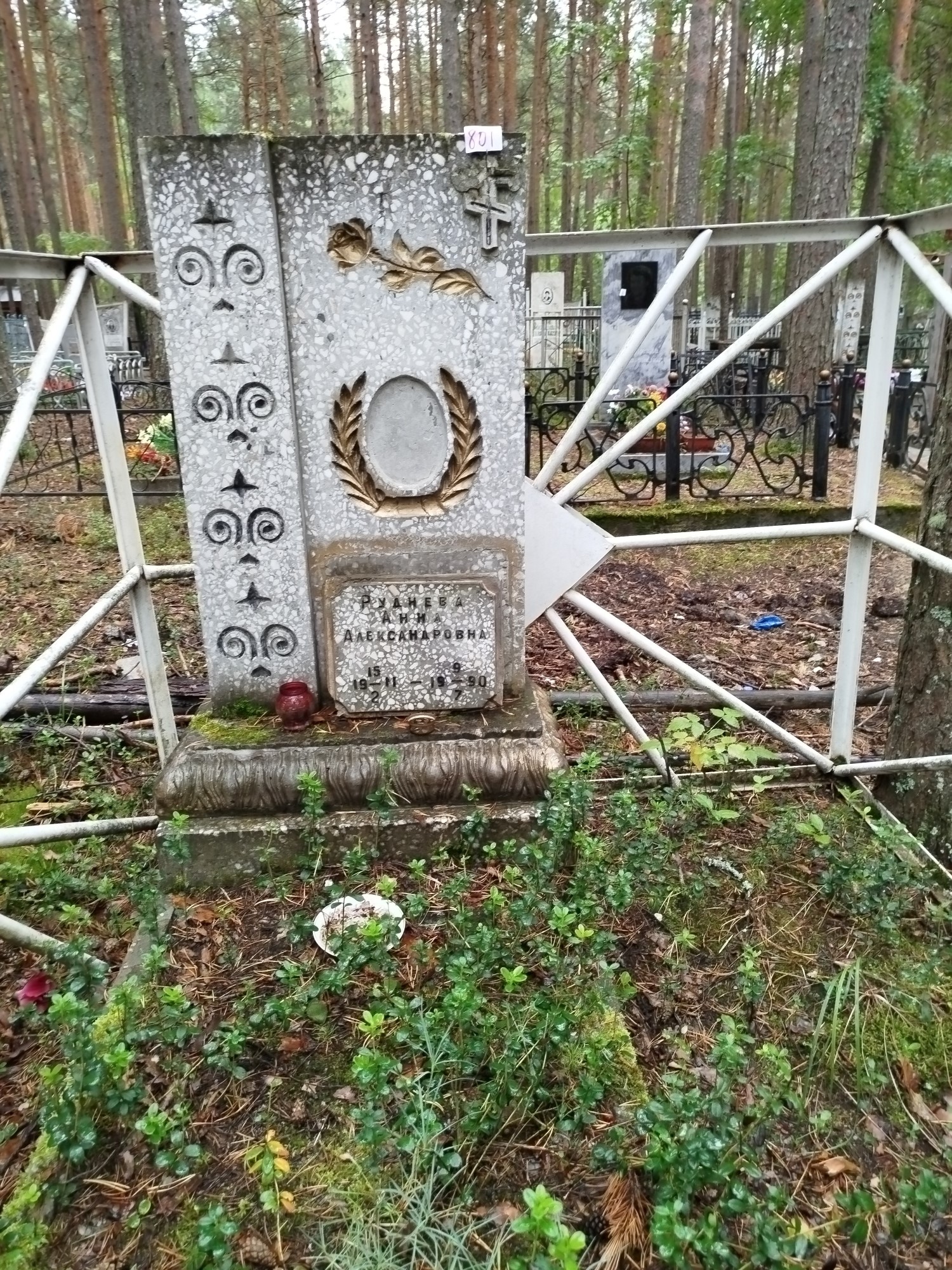 Руднева Анна Александровна