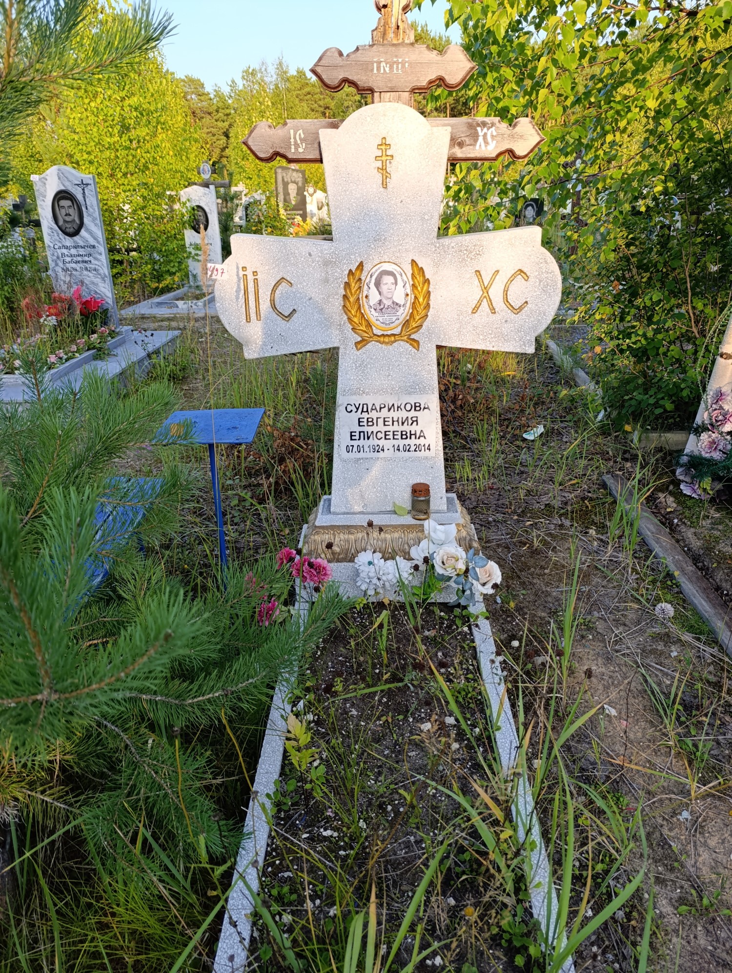Сударикова Евгения Елисеевна