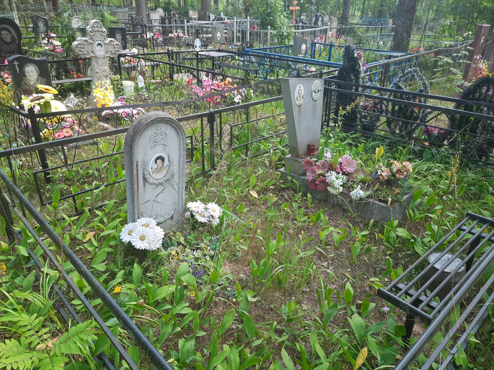 Добавкина Любовь Александровна