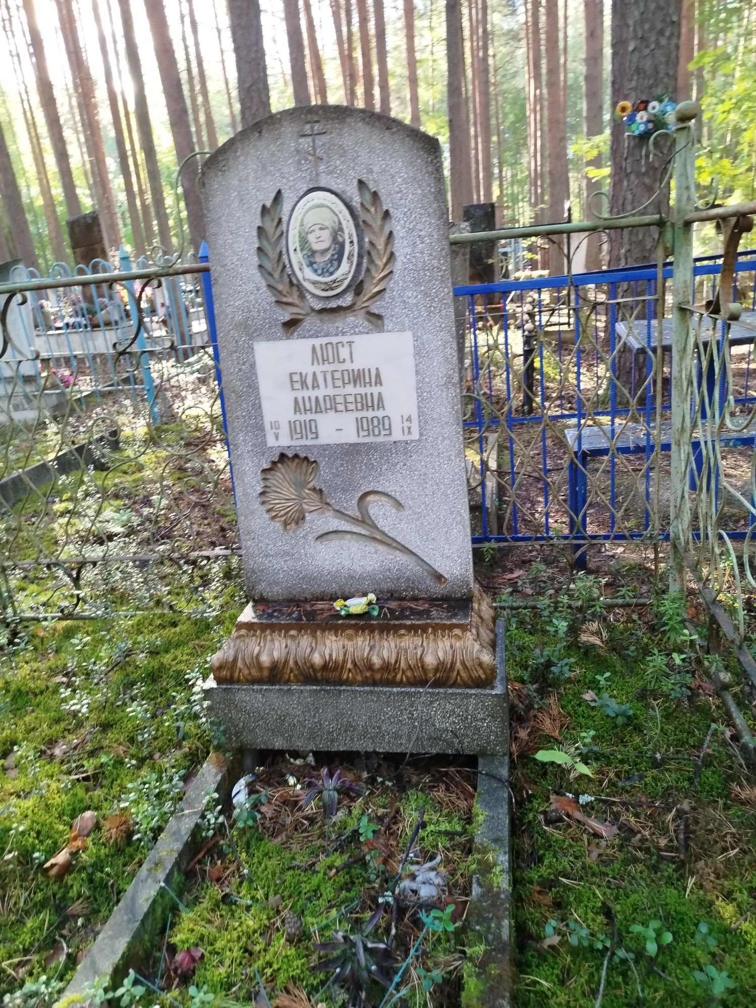Люст Екатерина Андреевна