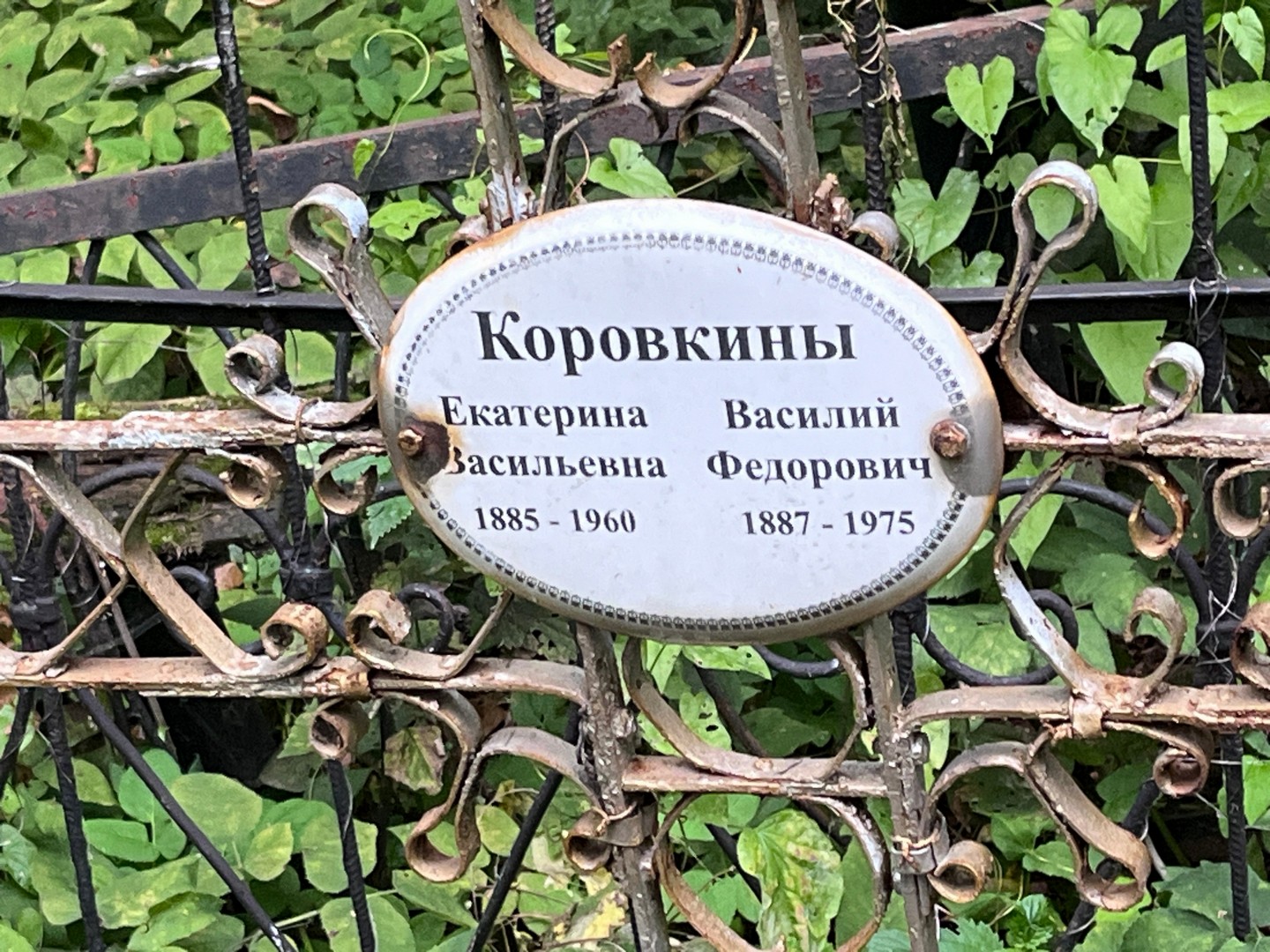 Коровкина