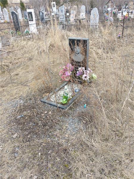 Хохолков Дмитрий Евгеньевич