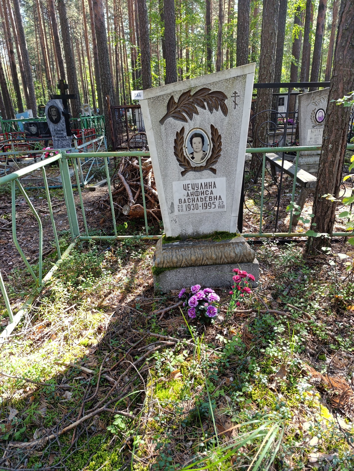 Чечулина Анфиса Васильевна