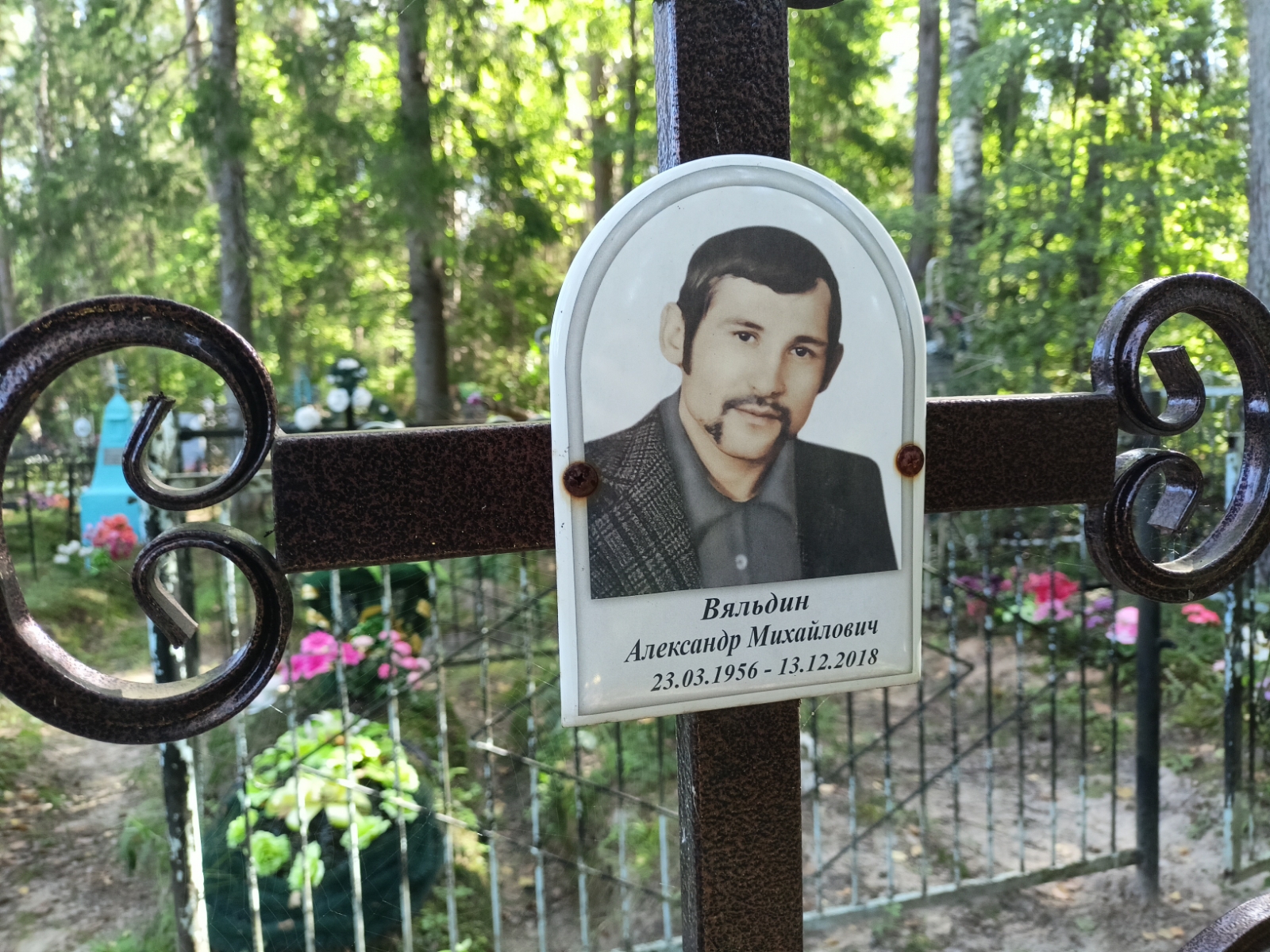 Вяльдин Александр Михайлович