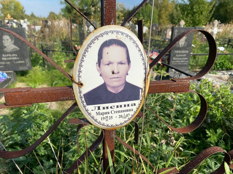Лисина