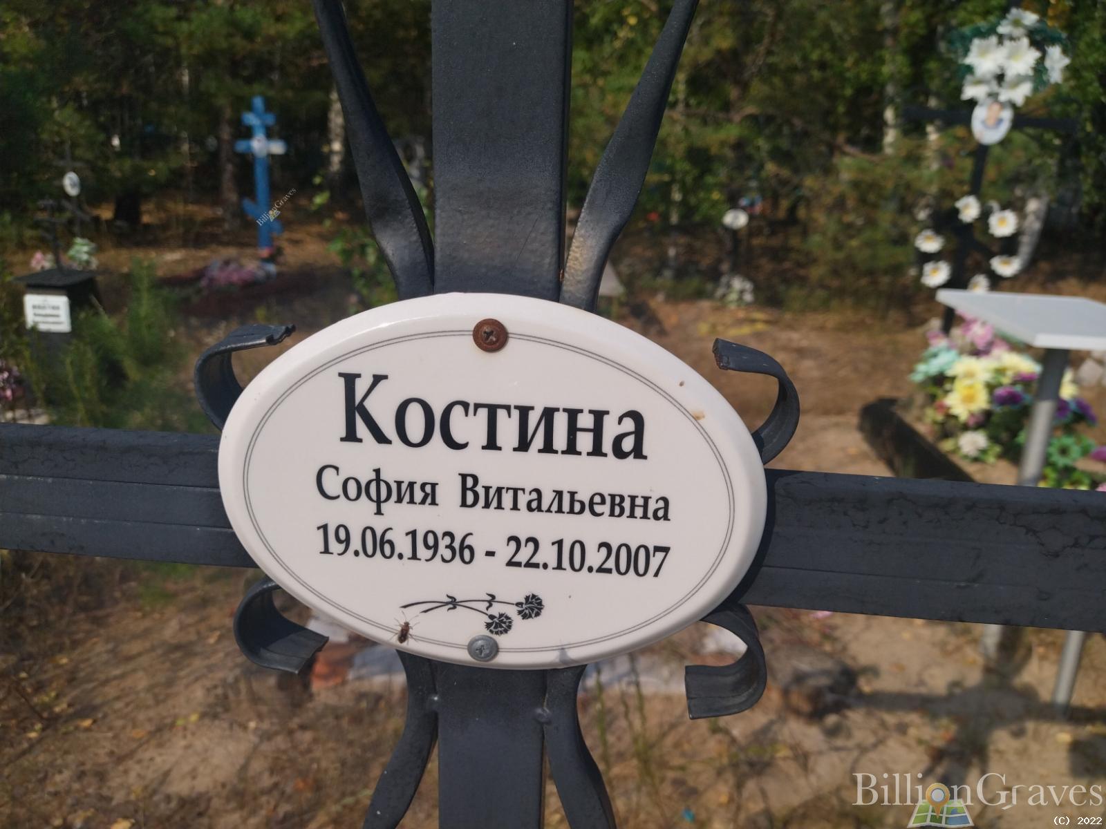 Костина София Витальевна