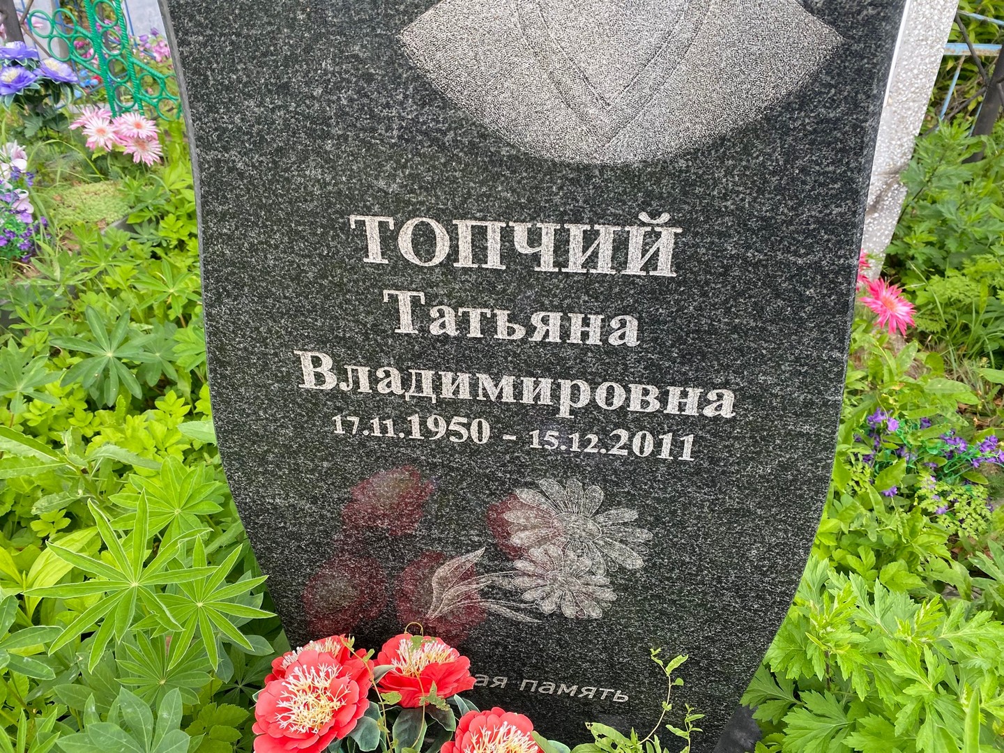 Топчий