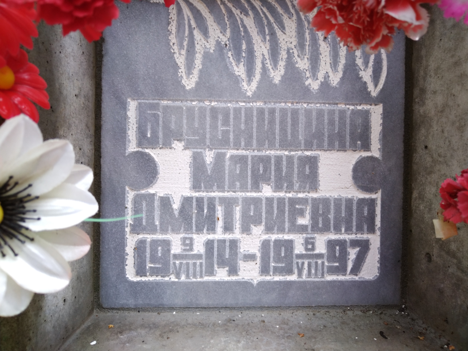 Брусницина Мария Дмитриевна