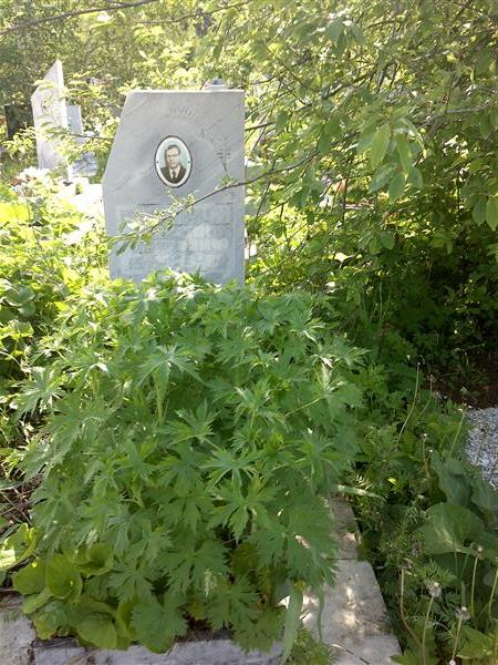 Ширинкин Николай Петрович