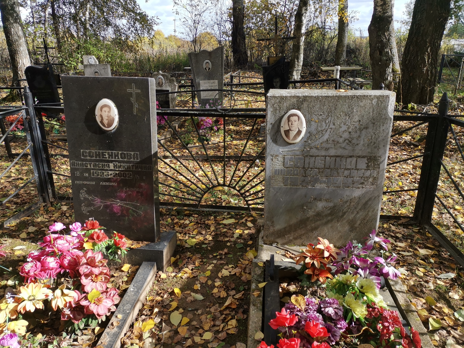 Соненкова Анастасия Никитично