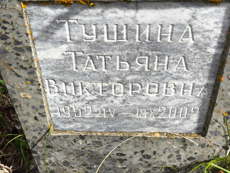 Тушина