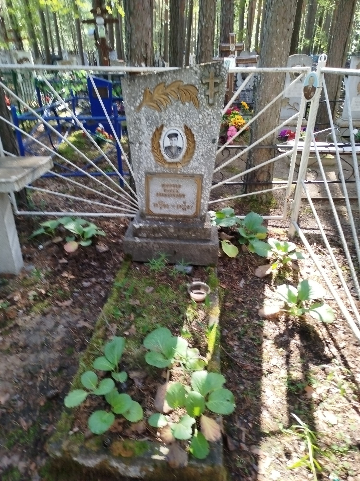 Ширяев Павел Алексеевич
