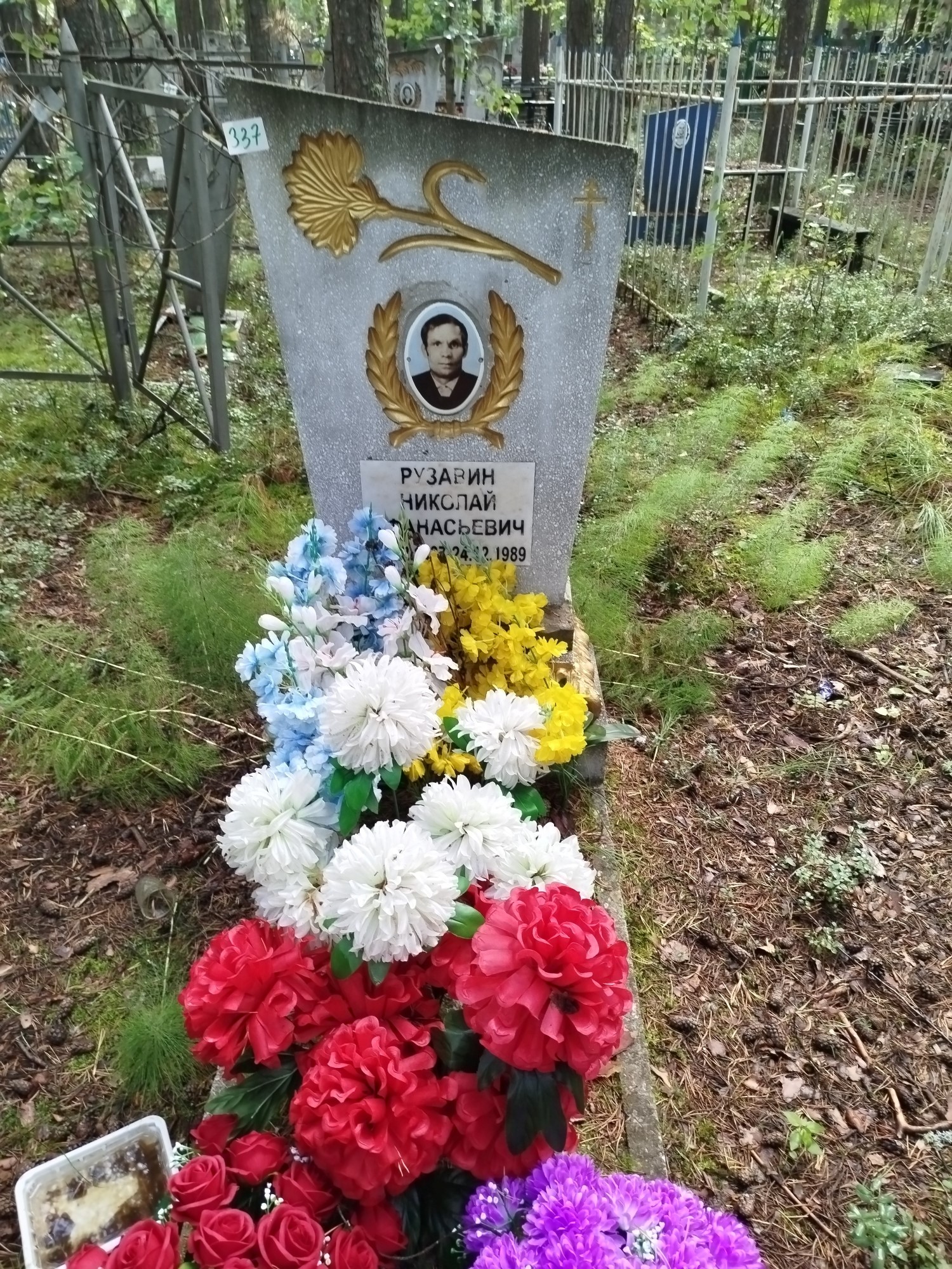 Рузавин Николай Афанасьевич