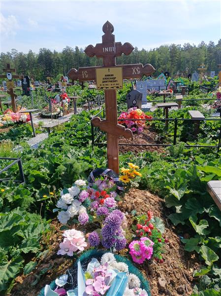 Аникин Александр Дмитриевич