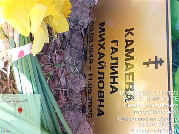 Камаева Галина Михайловна