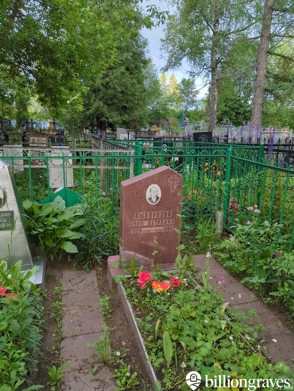 Выборнова Анна Петровна
