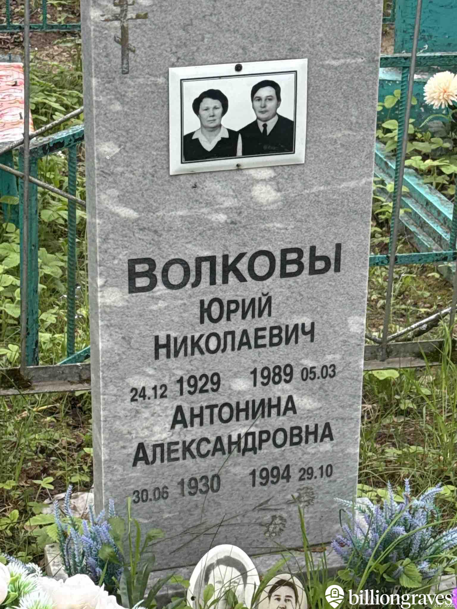 Волкова Антонина Александровна