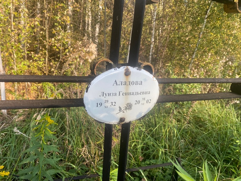 Луиза Аладова Геннадьевна