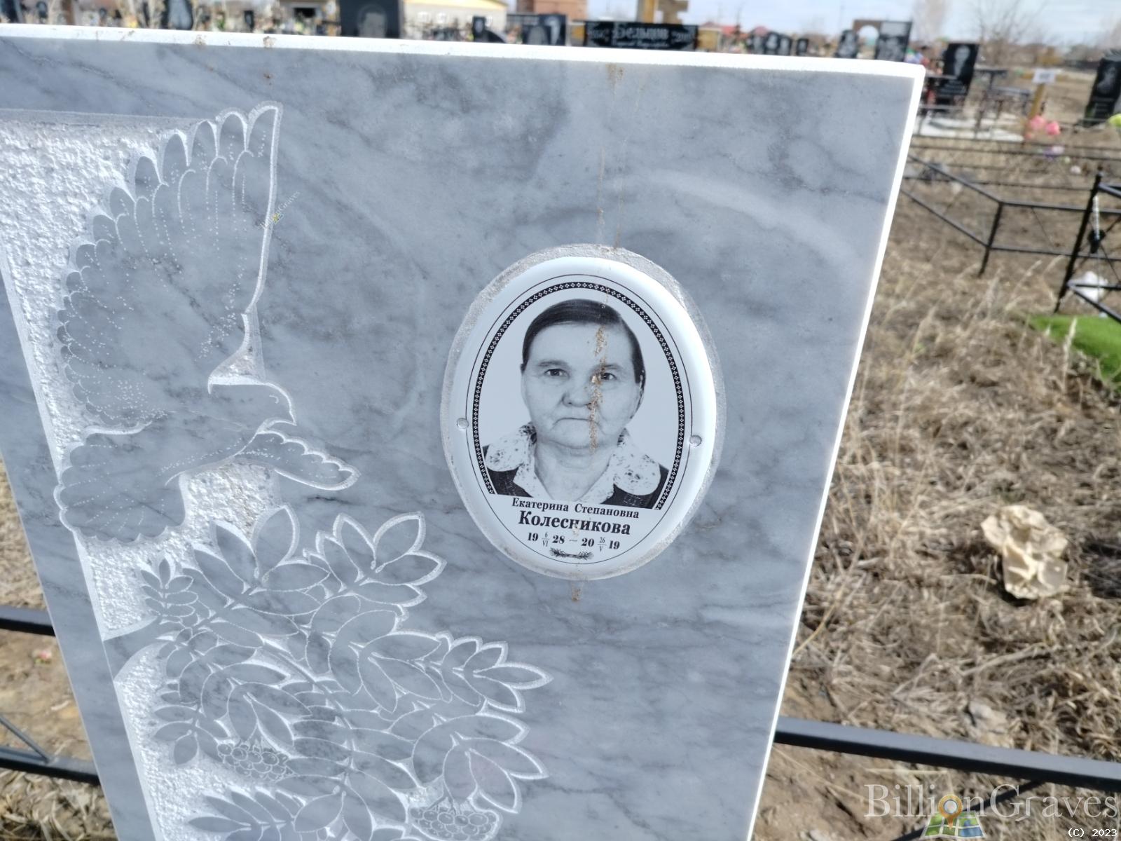 Колесникова Екатерина Степановна