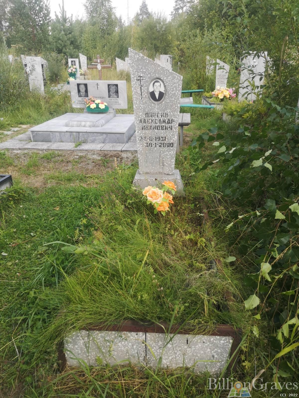 Пургин Александр Иванович
