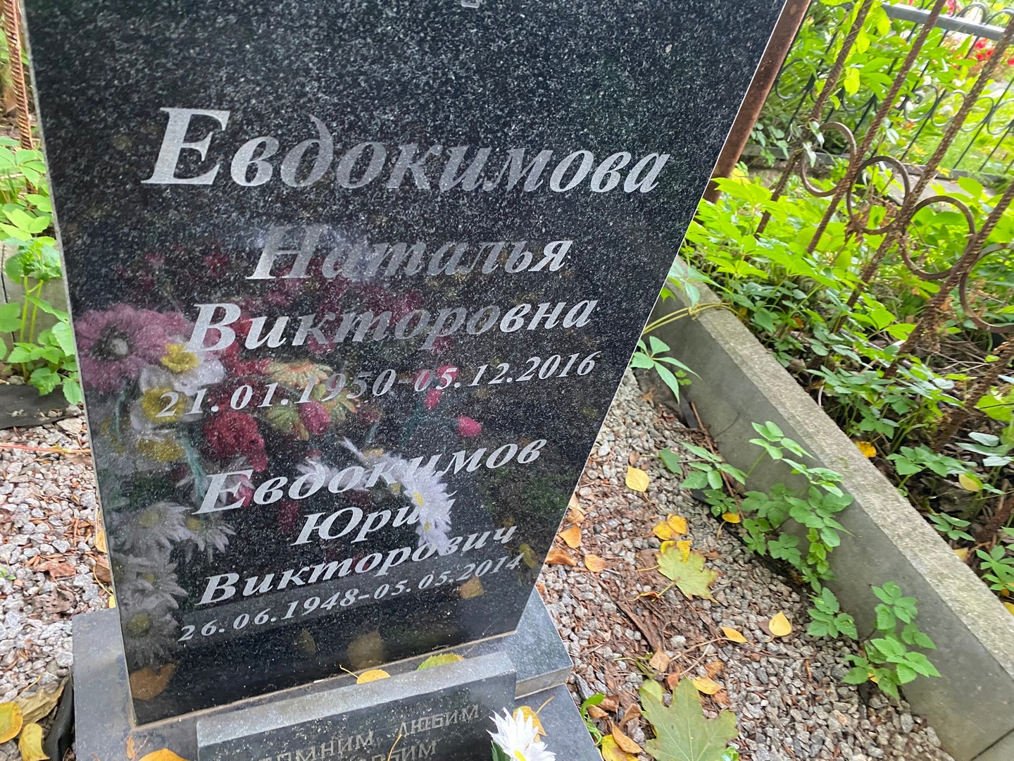 Евдокимова