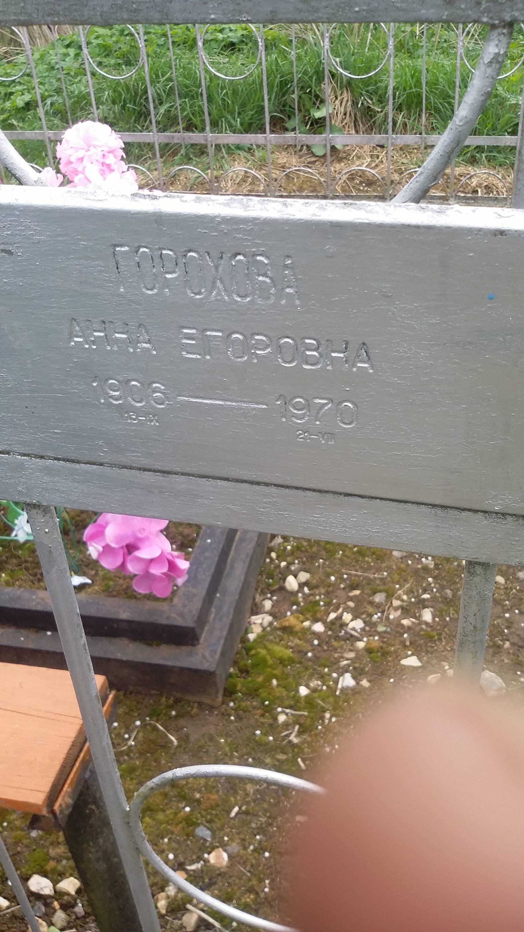 Горохова Анна Егоровна
