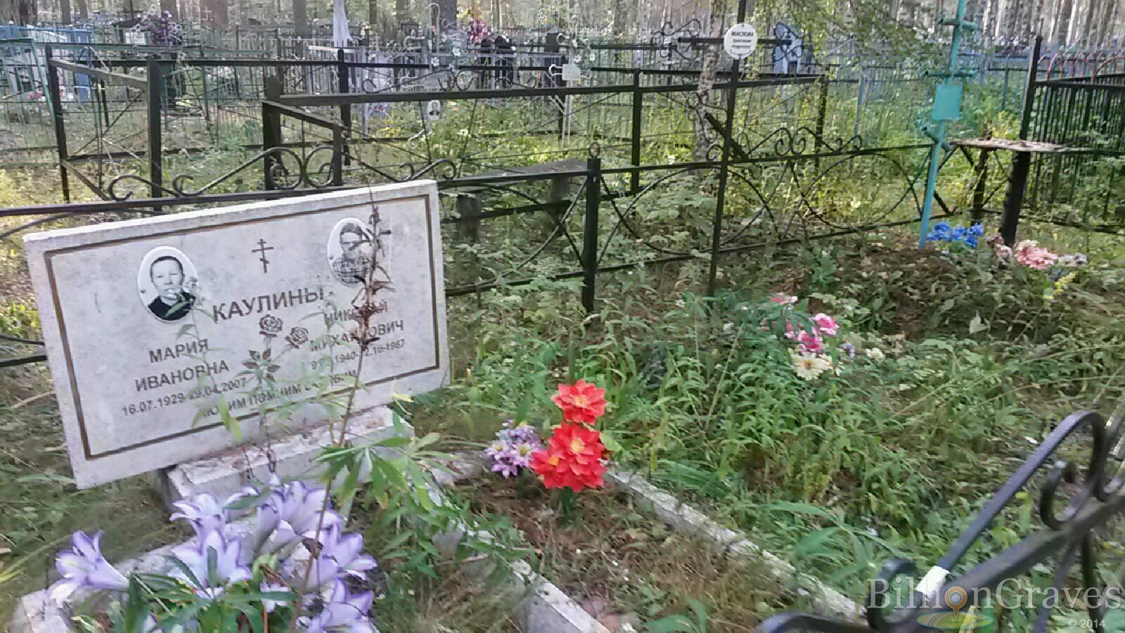 Каулин Николай Михайлович