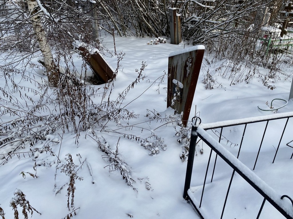 Семенова Елизавета Петровна