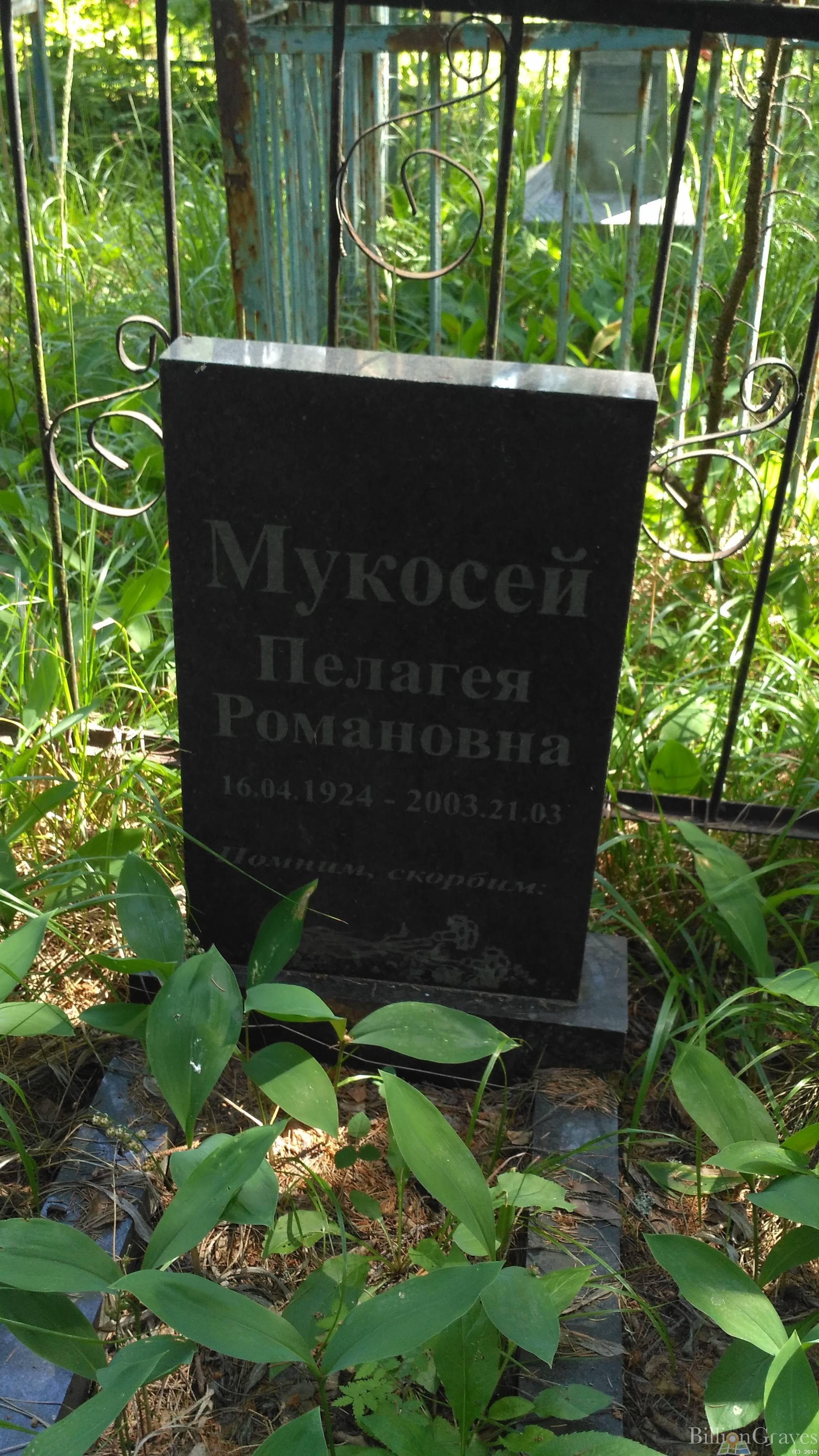 Мукосей Пелагея Романовна