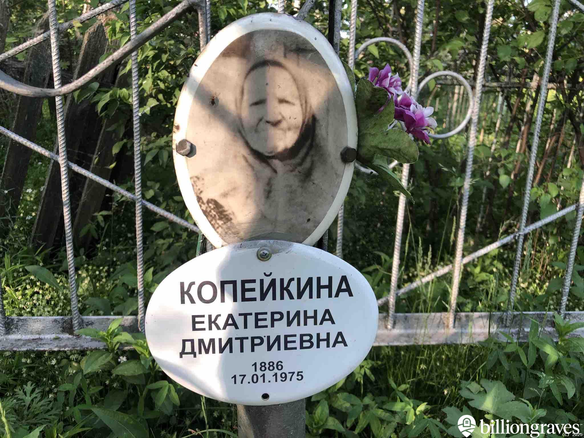 Копейкина Екатерина Дмитриевна