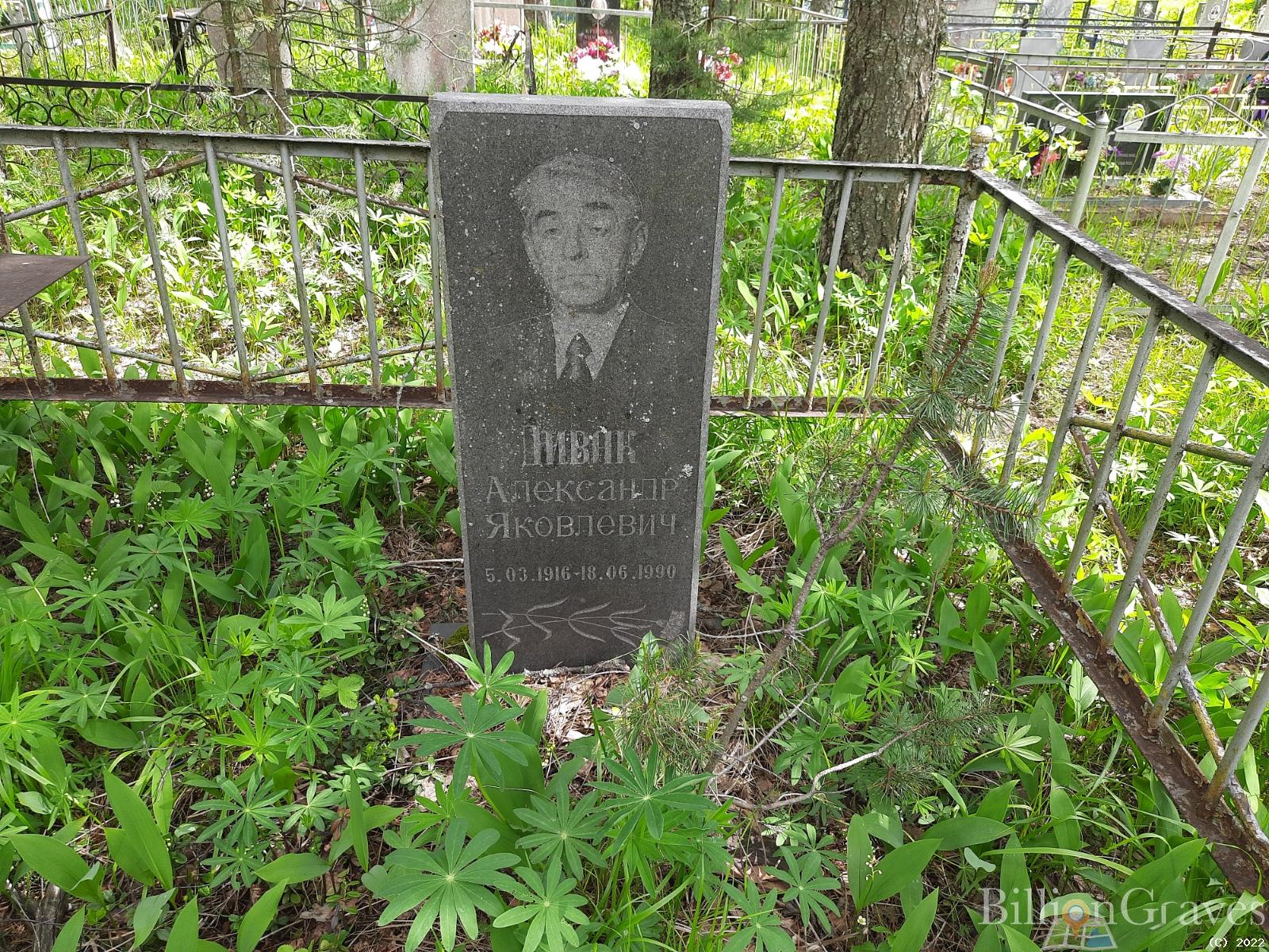 Дивак Александр Яковлевич