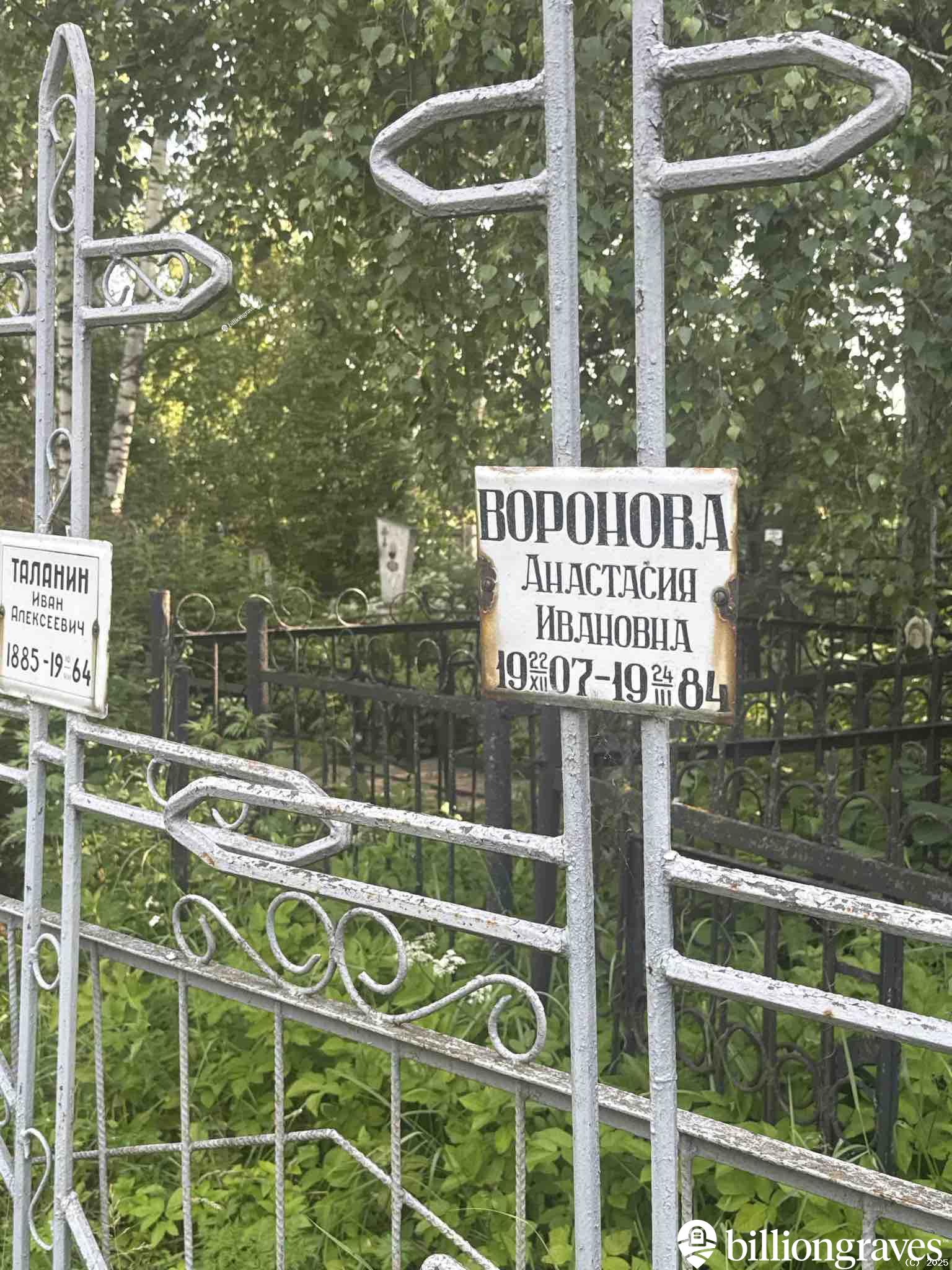 Воронова Анастасия Ивановна