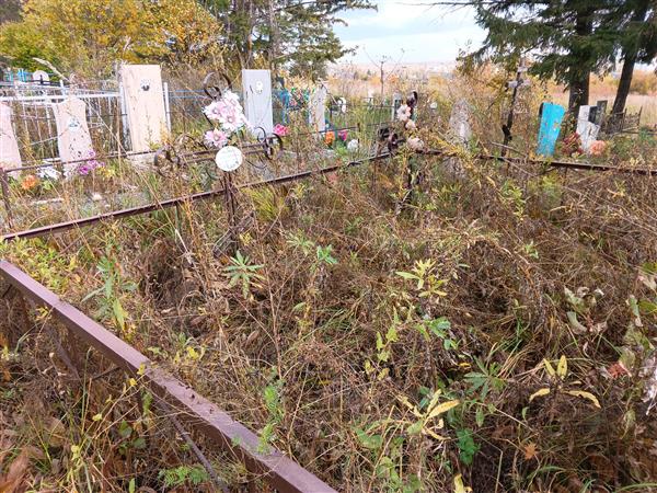 Лаврушева Анна Петровна