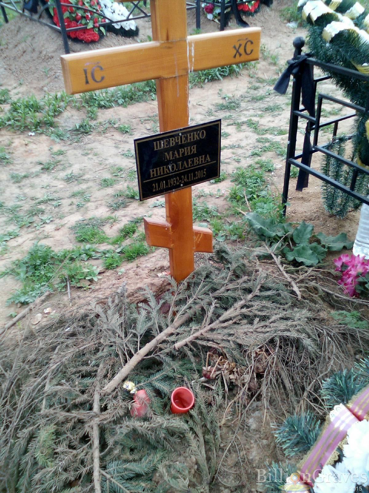 шевченко мария николаевна