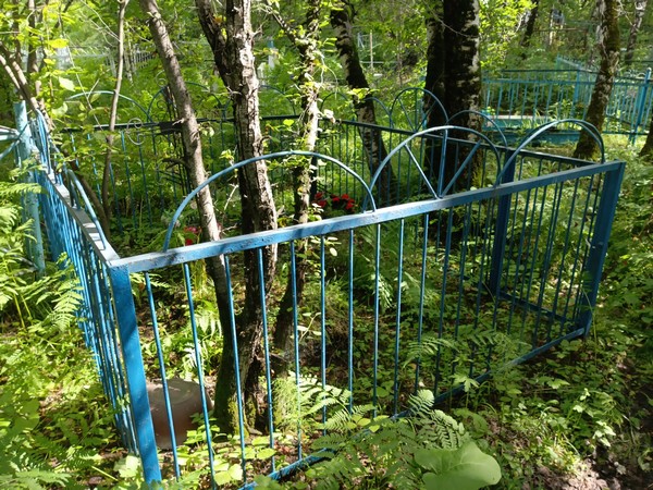 Головинский Виктор Иванович