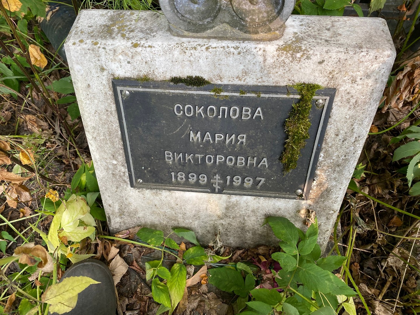 Соколова