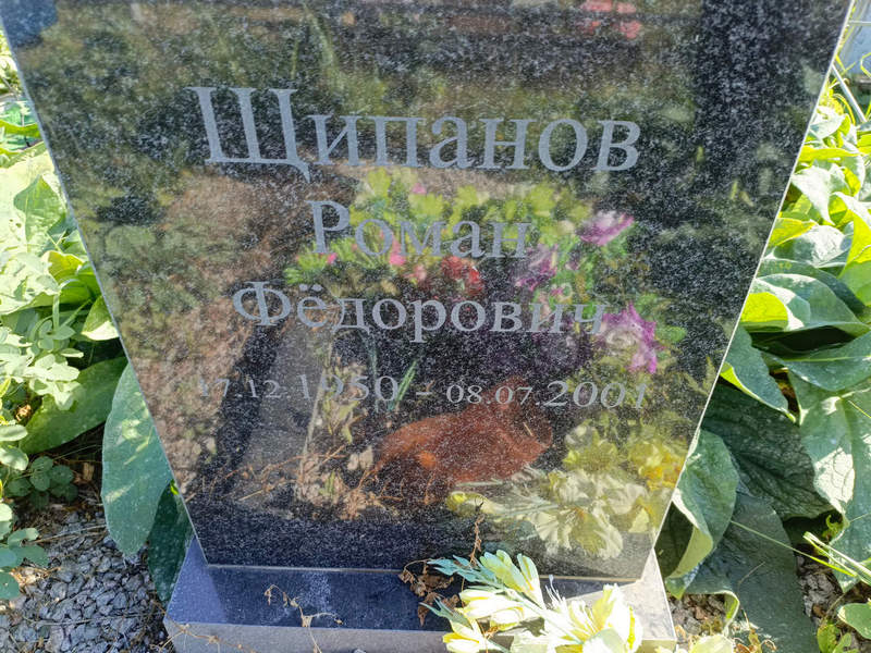 Щипанов