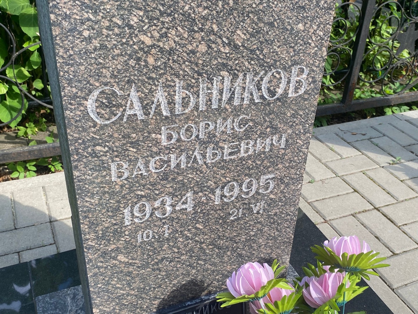 Сальников