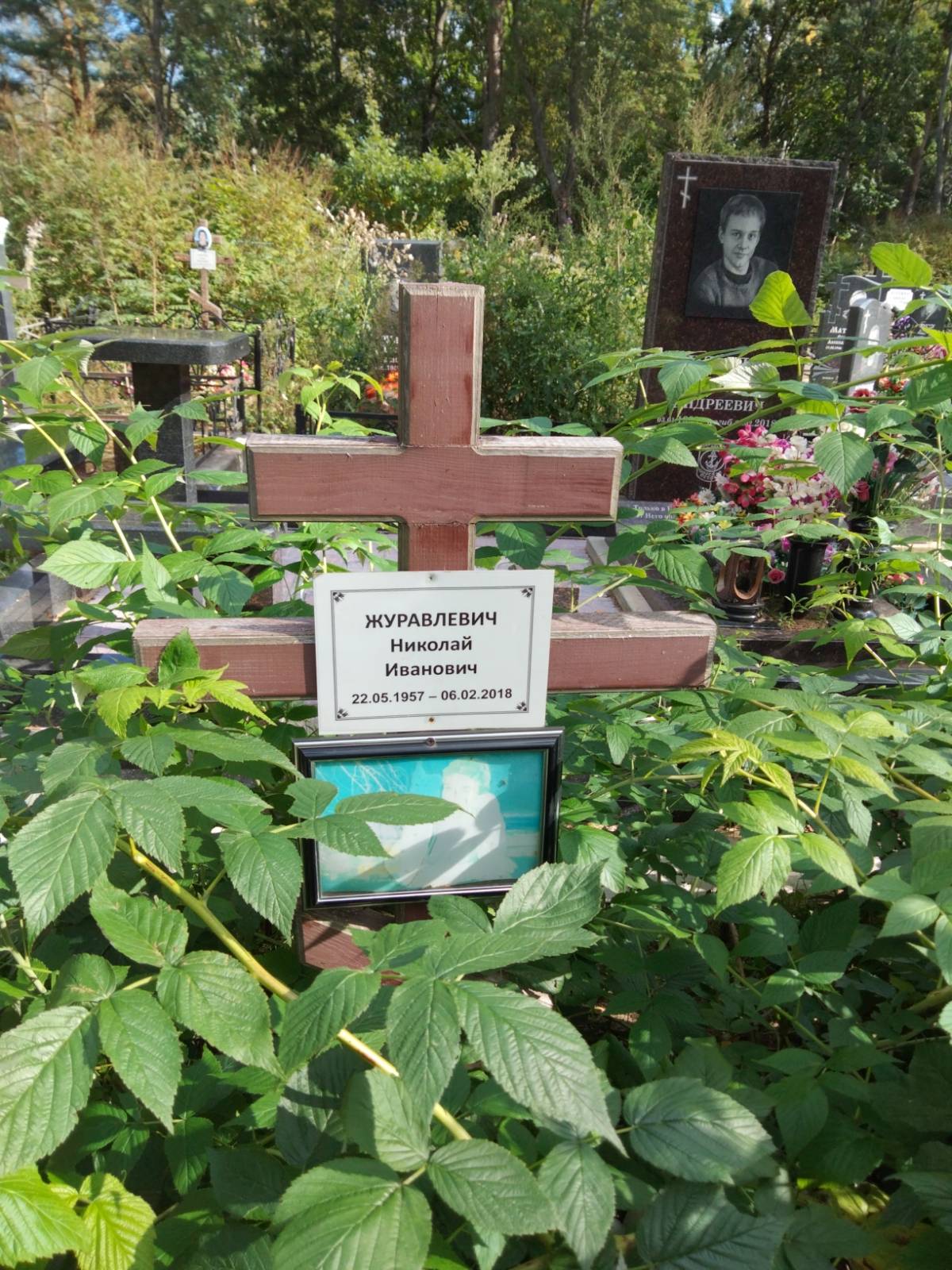 Журавлевич Николай Иванович