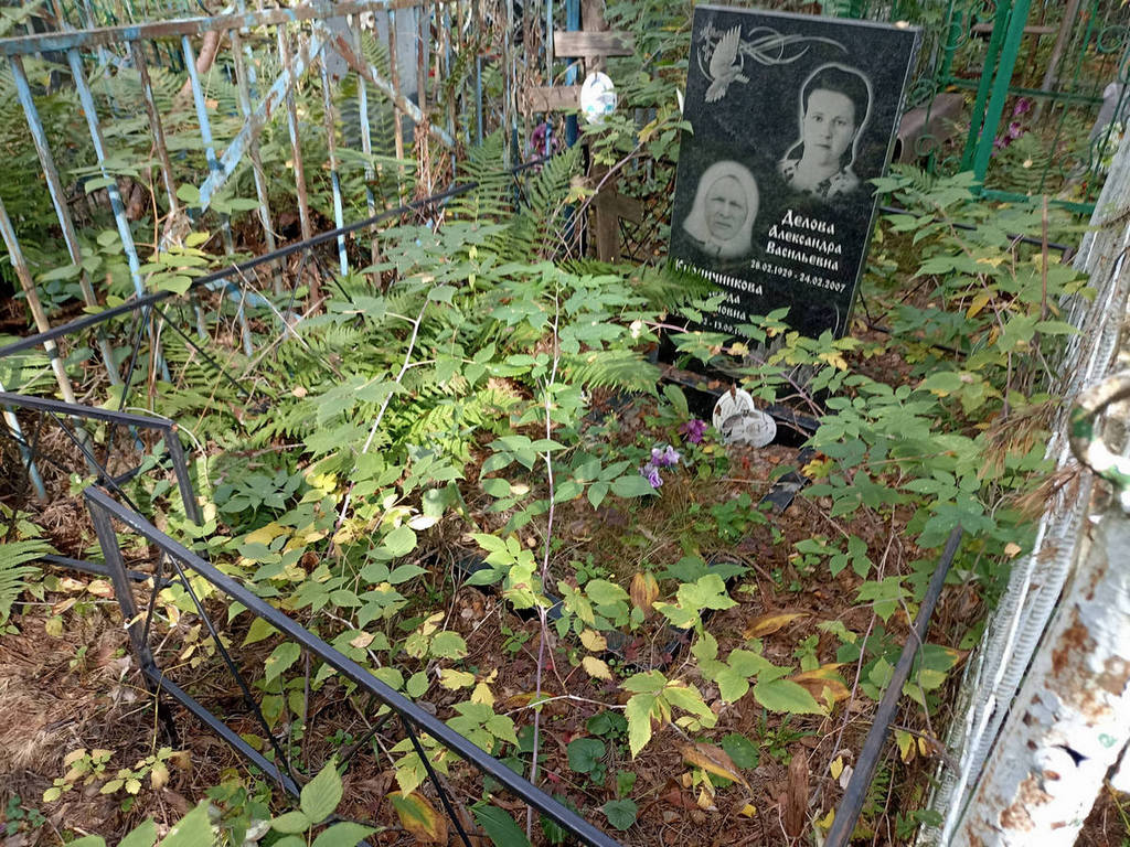 Делова Александра Васильевна
