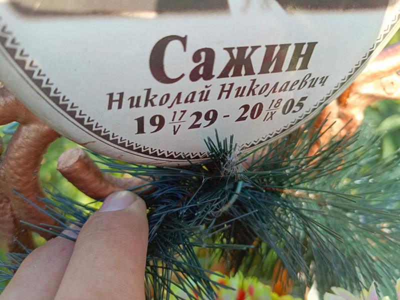 Сажин